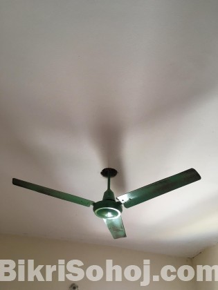 fan